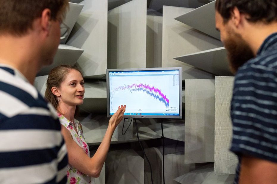 engineers evaluating seismic performance of bridge