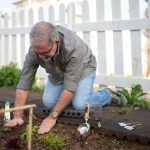 Sensors installed in soil for real-time data collection
