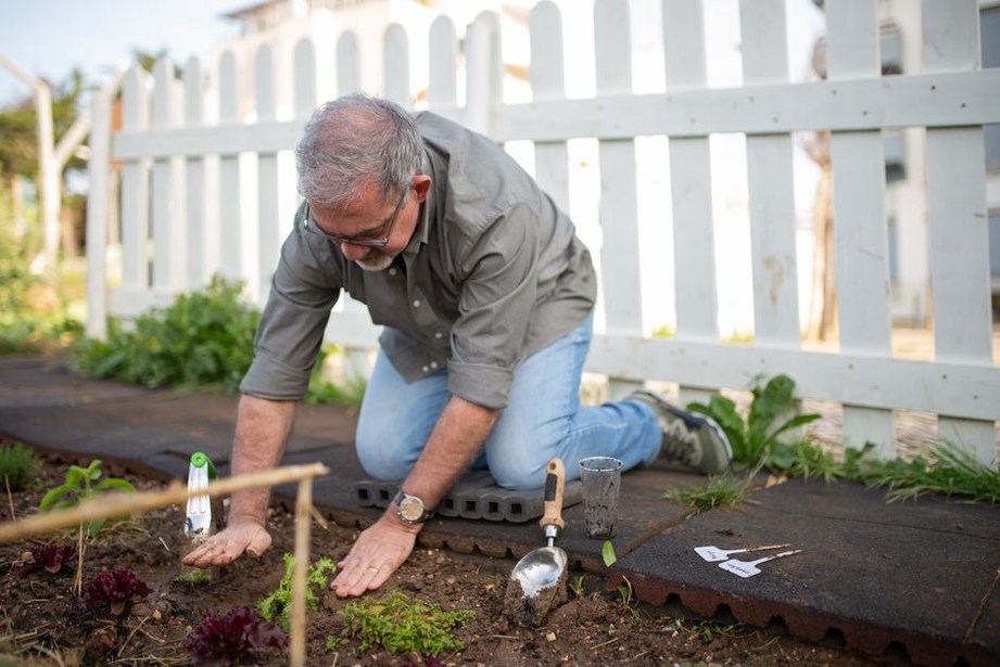 Sensors installed in soil for real-time data collection