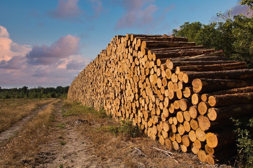Use of sustainable materials in road construction