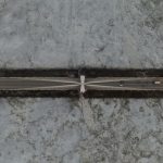Bridge deck exposed to crosswinds above water