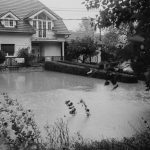 Rail embankment affected by intense flooding