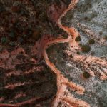 Runoff channel cutting into a roadside embankment