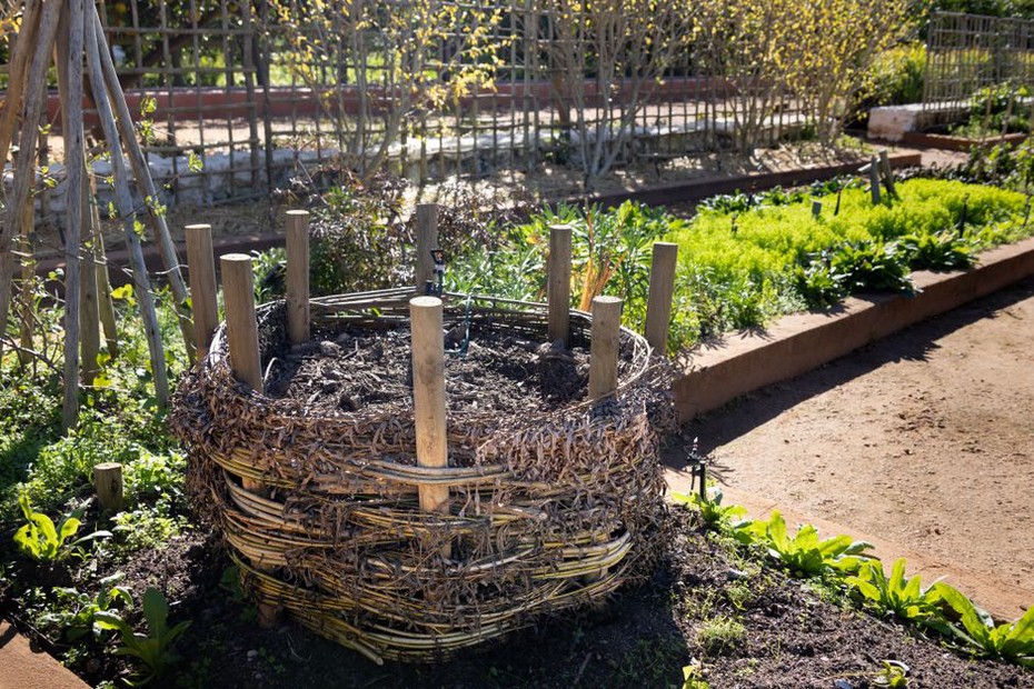 Dry leaves covering fresh scraps in a garden bin