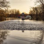 Debris collecting near a road drainage crossing
