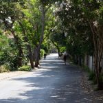 A clear sidewalk makes a short daytime walk easier