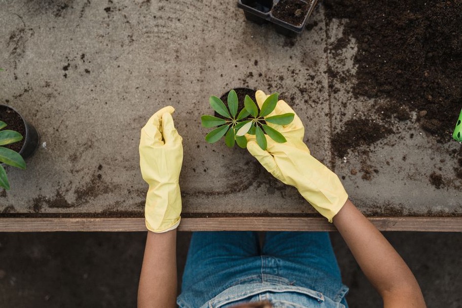 A fingertip tests the mix beneath its dry surface