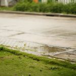Surface runoff moving along a roadside channel