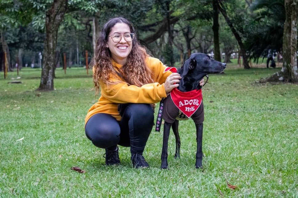 Staff member reviews a dog’s records with an adopter